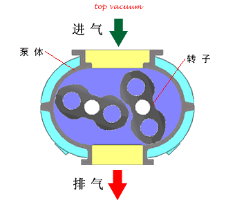 泵